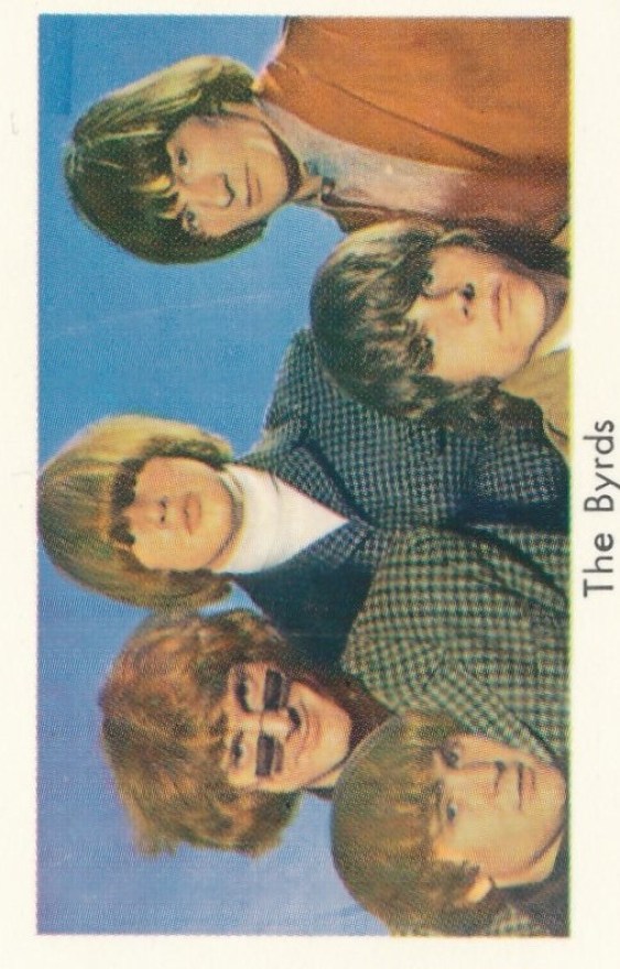 Byrds 1a - kopia6
